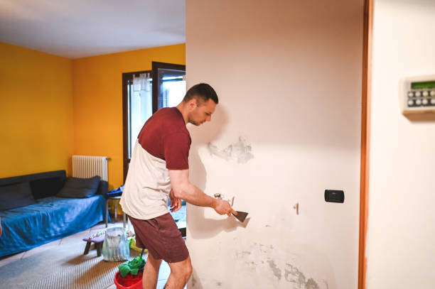 Home Mold Removal in St Georges, DE